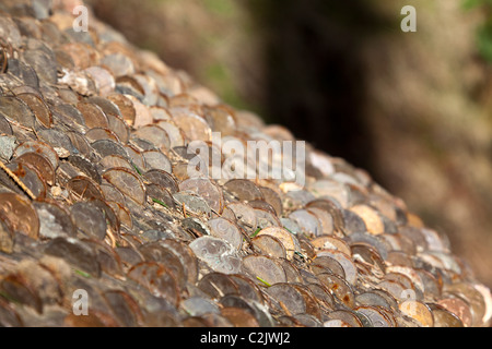 Tronco di albero costellata di buona fortuna monete, Tarn Hows, Parco Nazionale del Distretto dei Laghi, Cumbria, Inghilterra, Regno Unito. Foto Stock