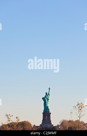 La Statua della Libertà di New York City, Stati Uniti d'America con le stelle e strisce di bandiera in primo piano Foto Stock