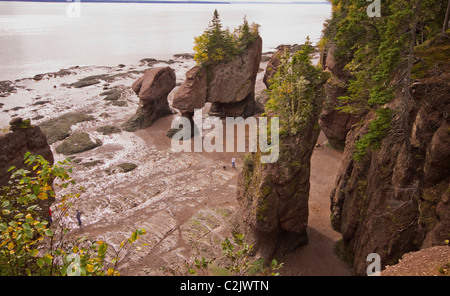 Vista delle formazioni rocciose a bassa marea, Hopewell Rocks, Baia di Fundy, New Brunswick, Canada Foto Stock