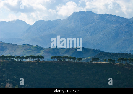 Andalusia in Spagna Foto Stock