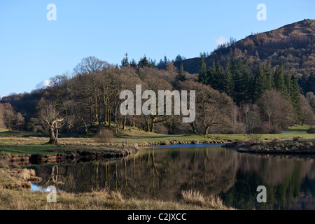 Acqua Elter, nel distretto del lago, Cumbria, Inghilterra, Regno Unito. Foto Stock