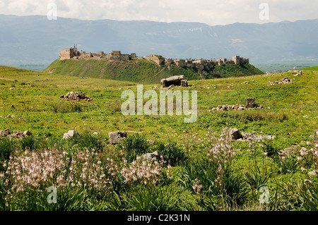 Rovine di Atamea, Qalaat al-Madiq, Afamiyya, Famiyyah, fortezza medievale della città, La Siria, il Governatorato di Hama, la pianura al-Ghab, ha fondato i Seleucidi del 3rd-secolo di BCE Foto Stock