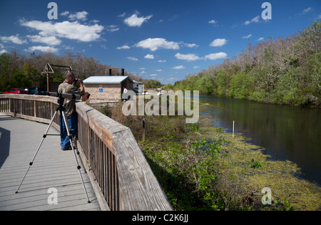 Turner River a H.P. Williams parco stradale. Tamiami per voli Trail, Everglades, Florida, Stati Uniti d'America Foto Stock