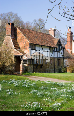 Cottage vicino a Dorking, Surrey, Regno Unito con bucaneve Foto Stock