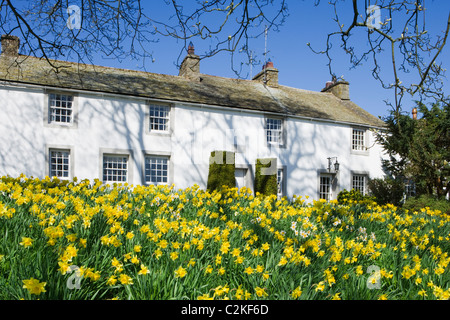 Askham con narcisi, Parco Nazionale del Distretto dei Laghi, Cumbria, Regno Unito. Foto Stock