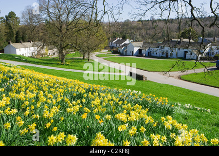 Askham con narcisi, Parco Nazionale del Distretto dei Laghi, Cumbria, Regno Unito. Foto Stock