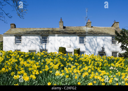 Askham con narcisi, Parco Nazionale del Distretto dei Laghi, Cumbria, Regno Unito. Foto Stock