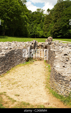 Parc le Breos chambered cairn, Parco legno, Gower, Galles Foto Stock