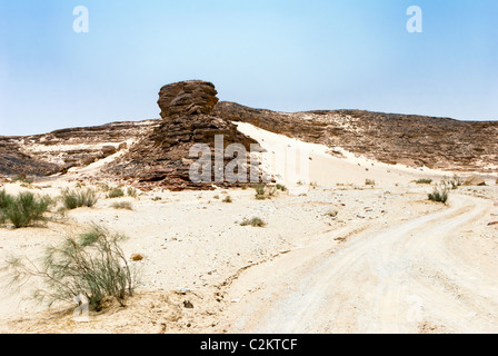 Wadi Arada deserto - Penisola del Sinai, Egitto Foto Stock