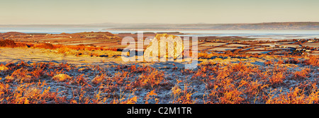 Arthur della pietra, Cefn Bryn, Gower, Galles Foto Stock