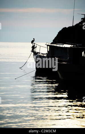 Foto di un pellicano appollaiato su una barca profilarsi come il sole tramonta in Taganga sulla costa caraibica della Colombia Foto Stock