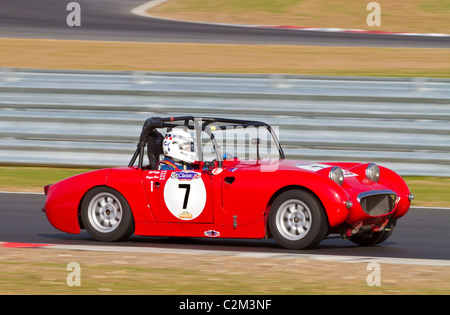 1959 Austin Healey Sprite Frogeye durante la CSCC oscillante serie degli anni Sessanta gara a Snetterton, Norfolk, Regno Unito. Foto Stock
