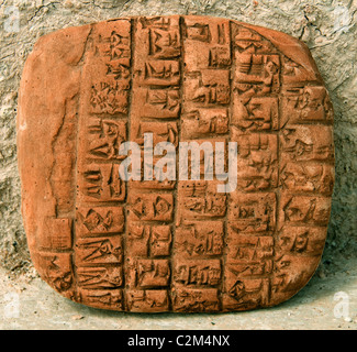 Nuova copia compressa Ebla Siria Aleppo 3000 BC - 1650 BC 20.000 tavolette cuneiformi trovato ci lingua semitica Akkadico correlati Foto Stock