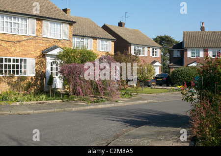 Alloggiamento suburbane, Sunbury on Thames, London. Cul-de-sac case. Foto Stock