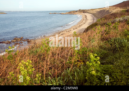 Sandy spiaggia dei pescatori Herm Island Isole del Canale Foto Stock