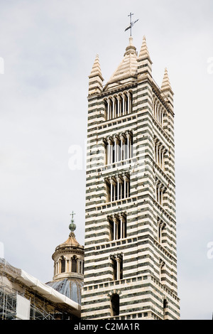 Il campanile, Duomo, Siena, Toscana, Italia. Foto Stock