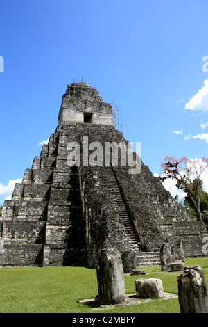 Tempio che io - GRAND PLAZA TIKAL GUATEMALA 23 Febbraio 2011 Foto Stock