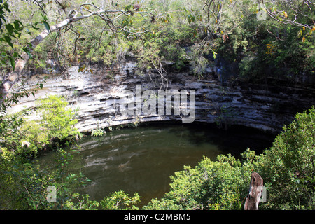 CENOTE DE LOS SACRIFICIOS CHICHEN ITZA MESSICO 28 Febbraio 2011 Foto Stock