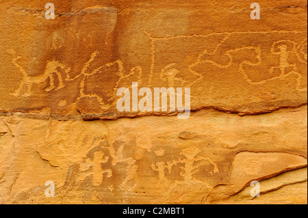 Petroglyph inciso su una superficie di roccia, il Parco Nazionale di Mesa Verde Foto Stock