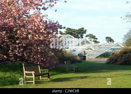 Vista della Principessa di Galles Conservatorio, Kew Gardens di Kew, Greater London Foto Stock