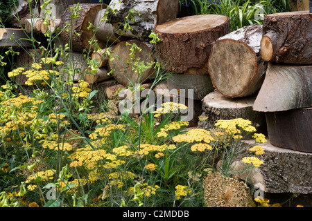 "Ciclo di vita Garden', 2009 Hampton Court Palace Flower Show, Inghilterra. Progettista: Elaine Hughes, London Wildlife Trust Foto Stock