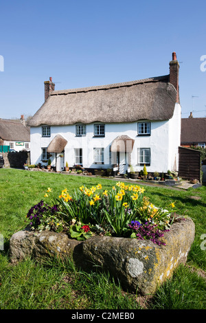 Cottage con il tetto di paglia sul verde villaggio in Lustleigh, Dartmoor Devon, Inghilterra, Regno Unito Foto Stock