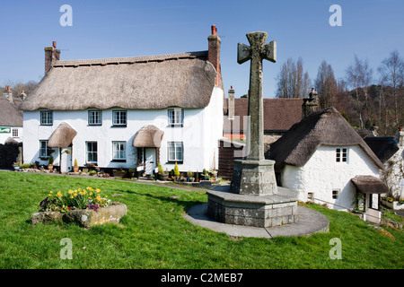 Cottage con il tetto di paglia sul verde villaggio in Lustleigh, Dartmoor Devon, Inghilterra, Regno Unito Foto Stock