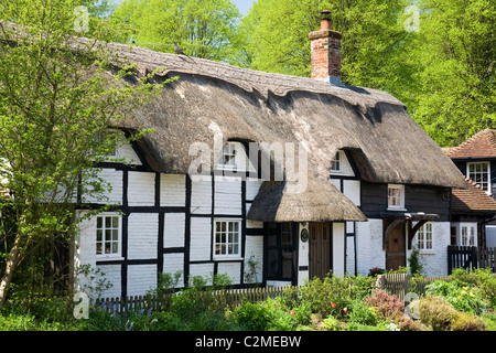 Cottage con il tetto di paglia, Hampshire. Foto Stock