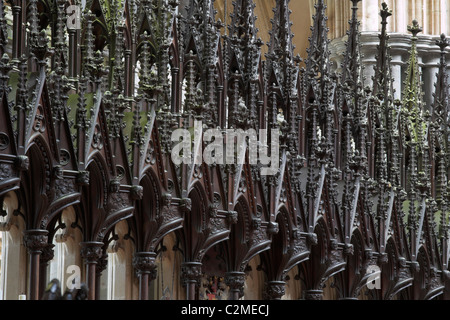 Dettaglio interni all'interno di Exeter Catherdral, Devon, Regno Unito Foto Stock