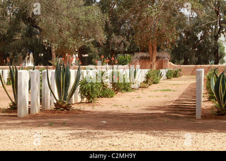 Bengasi Cimitero di Guerra, Libia orientale. Foto Stock