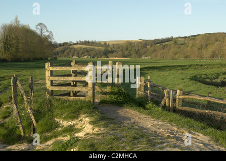 Un kissingate sulle rive del fiume Cuckmere vicino a Alfriston, East Sussex. Foto Stock