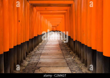 Torii gate a Fushimi Inari Shrine, Kyoto, Giappone Foto Stock