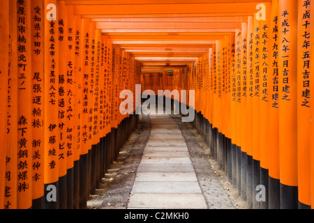 Torii gate a Fushimi Inari Shrine, Kyoto, Giappone Foto Stock