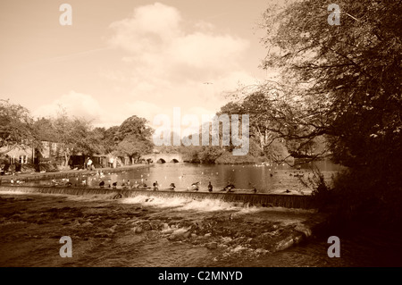 Fiume Wye, Bakewell, Parco Nazionale di Peak District. Foto Stock