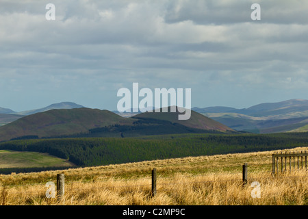 Il Cheviot hills segna il confine tra Inghilterra e Scozia in Northumberland dal carter Bar. Foto Stock