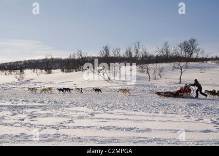 Norvegia Troms cani da slitta Foto Stock