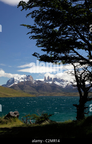 Viste di Torres del Paine, attraverso la Laguna Azul, Patagonia, Cile, America del Sud. Foto Stock