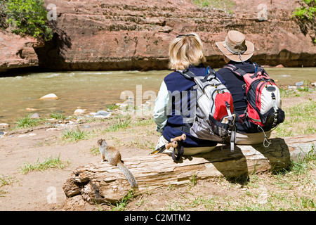 Gli escursionisti in Canyon Zion Foto Stock
