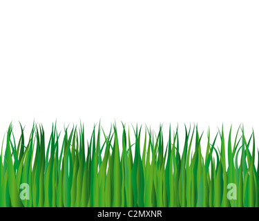 Illustrazione Vettoriale sfondo di erba per l'utilizzo di progettazione Foto Stock