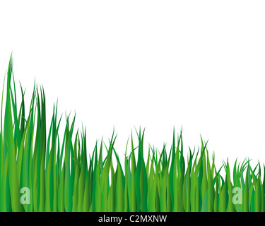 Illustrazione Vettoriale sfondo di erba per l'utilizzo di progettazione Foto Stock