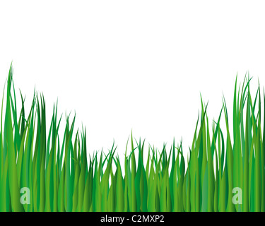 Illustrazione Vettoriale sfondo di erba per l'utilizzo di progettazione Foto Stock