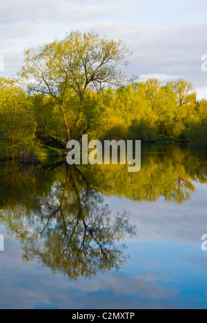 Per prima cosa su una mattina di primavera e la campagna circostante riflettendo sul fiume Clyde in Baroni Haugh Riserva Naturale. Foto Stock