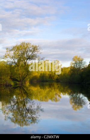 Per prima cosa su una mattina di primavera e la campagna circostante riflettendo sul fiume Clyde in Baroni Haugh Riserva Naturale. Foto Stock