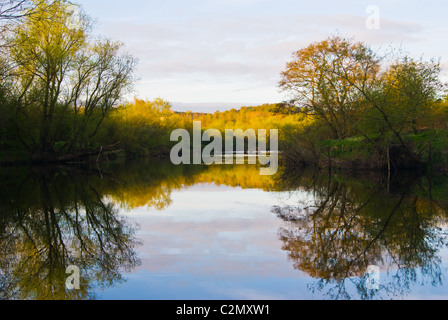 Per prima cosa su una mattina di primavera e la campagna circostante riflettendo sul fiume Clyde in Baroni Haugh Riserva Naturale. Foto Stock