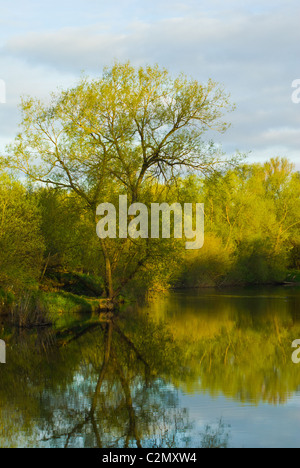 Per prima cosa su una mattina di primavera e la campagna circostante riflettendo sul fiume Clyde in Baroni Haugh Riserva Naturale. Foto Stock