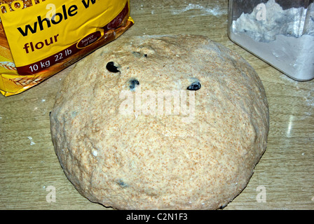 Farina di grano pane pizza pasta lievitata con olive nere dopo l'impasto in attesa di origine Foto Stock