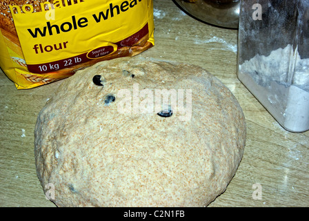 Farina di grano pane pizza pasta lievitata con olive nere dopo l'impasto in attesa di origine Foto Stock