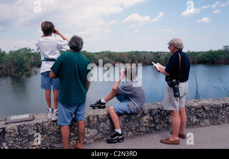 Bird-watching è una attività preferita dei visitatori del Parco nazionale delle Everglades, un vasto deserto zone umide noto come il "fiume d'erba" in Florida, Stati Uniti d'America. Foto Stock