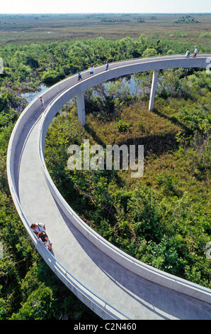 Una passerella elevata che conduce alla valle di squalo torre di osservazione in Everglades National Park, un deserto nel sud della Florida, Stati Uniti d'America. Foto Stock