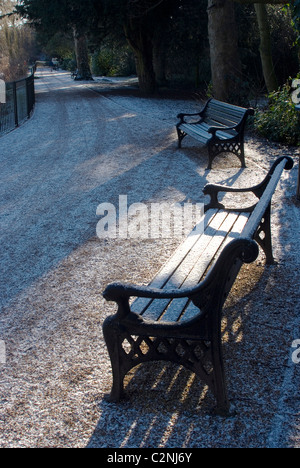 Una panchina nel parco sotto una leggera spolverata di neve a Chiswick House e giardini, Chiswick, London, W4, Inghilterra Foto Stock